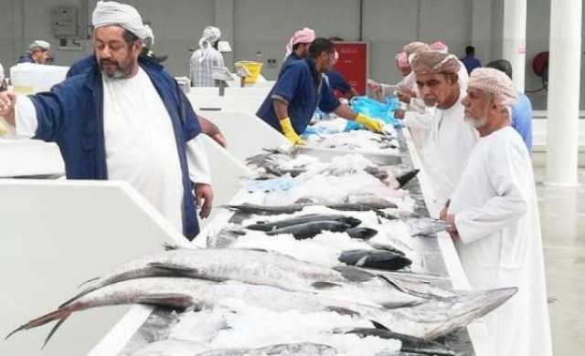 وكيل 'الثروة السمكية' يقف على سير العمل في خطة التسويق السمكي