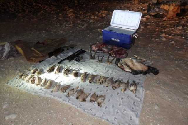 سجن وغرامة.. محكمة الاستئناف بصلالة تصدر حكماً قضائياً على 4 من معتدي الحياة الفطرية