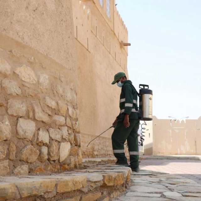 تكثيف جهود مكافحة البعوضة الزاعجة في البريمي