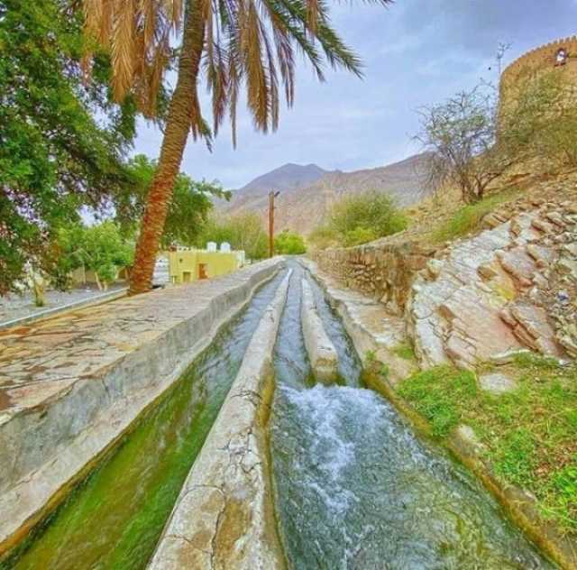 بنهاية يونيو.. صيانة وتأهيل 83 فلجا مائيا بالمحافظات