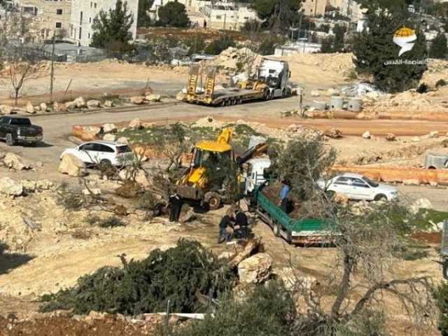 بالفيديو.. إسرائيل تصادر أراض في القدس لإقامة شارع استيطاني