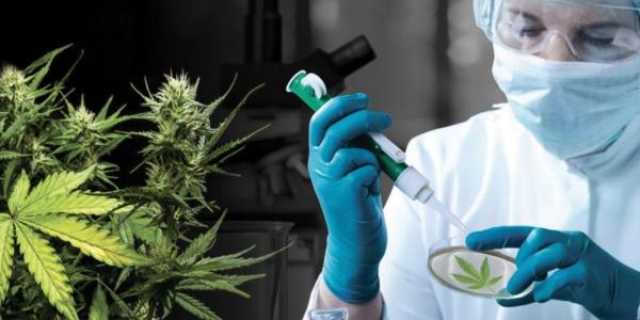 بعد صدمة 'طوفان الأقصى'.. 250% ارتفاعا في تعاطي الإسرائيليين للحشيش الطبّي والأدوية النفسية