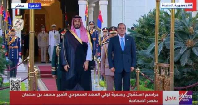 بيان مصري سعودي حول ضرورة بدء التهدئة ووقف إطلاق النار في غزة ولبنان