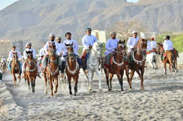 80 جوادًا تتألق في 'عرضة الخيل' بالعامرات