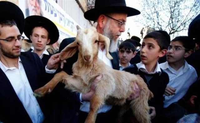القدس على صفيح ساخن.. تحذيرات من محاولات ذبح القربان في المسجد الأقصى