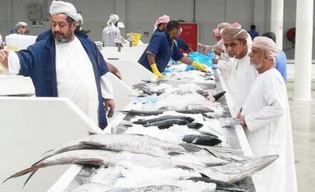 وفرة في كميات الأسماك بالأسواق مع استمرار انخفاض الأسعار