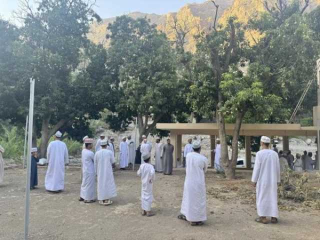 150 ريالا أعلى سعر في المزايدة على 'شجر الأمبا' بالعوابي