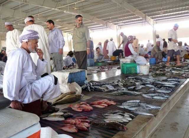 وفرة المعروض تساهم في خفض أسعار الأسماك