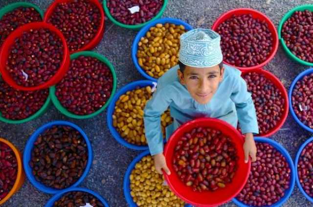 مهتمون بزراعة النخيل لـ'الرؤية': التمور العمانية من الأجود في العالم.. ودعم المزارعين يعزز الصادرات للخارج