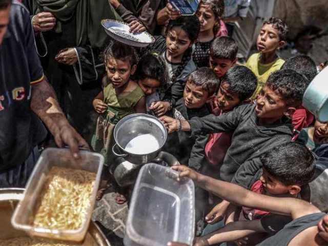 'مجاعة غزة'.. مجلس الأمن يخرج عن صمته.. أخيرًا!