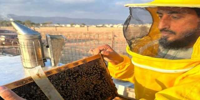 بقيمة 840 ألف ريال.. إنتاج 56 طنًا من العسل في ظفار