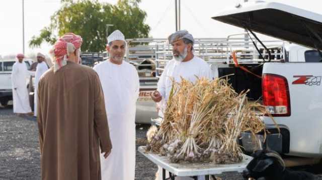 المواطنون يقبلون على هبطات العيد في ولايات شمال الباطنة