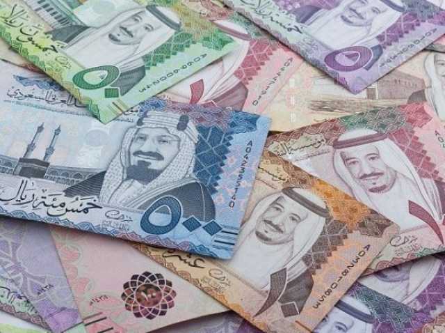 الدين العام في الدول العربية يصل إلى مستويات تاريخية.. عاجل