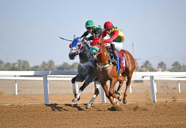 8 أشواط مثيرة في انطلاق موسم سباقات الخيل بالرحبة