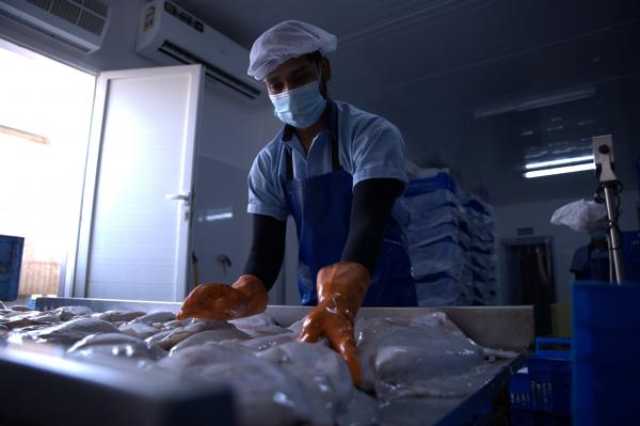 140 مليون ريال عُماني حجم الاستثمار التراكمي في المنطقة الحرة بالمزيونة