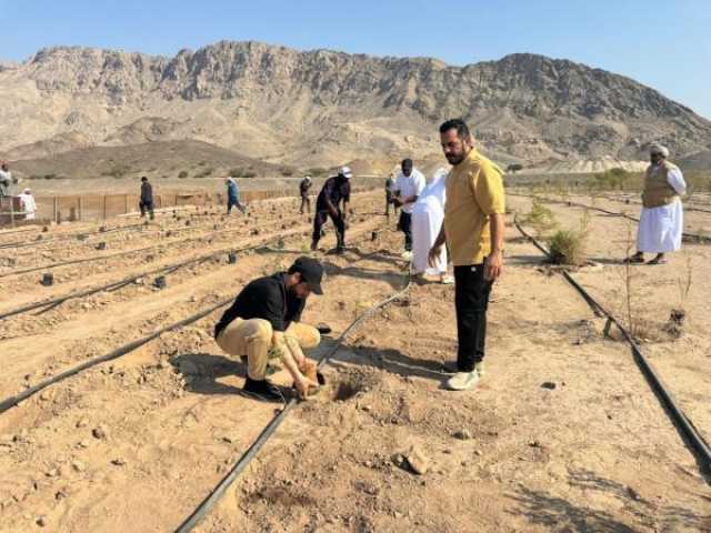 استزراع 2000 شتلة بولاية محضة