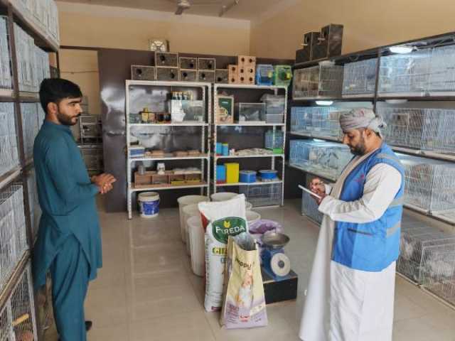 تنفيذ حملات تفتيشية على محلات الحيوانات الأليفة في ينقل وضنك