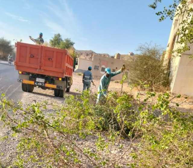 'إدارة النفايات'.. جهود إعادة التنظيم لتعزيز اللامركزية محفوفة بالعقبات