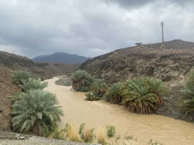 بالفيديو.. أمطار متفاوتة الغزارة على الجبل الأخضر وبعض المناطق بالسلطنة