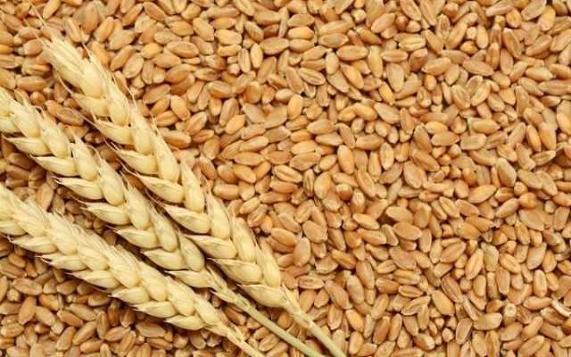 رغم ارتفاع الأرز.. أسعار السلع الغذائية تتراجع عالميًا في الربع الثاني