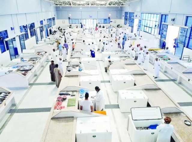 'مراكز التجميع' تعزز مبيعات المنتجات السمكية في المواقع الساحلية