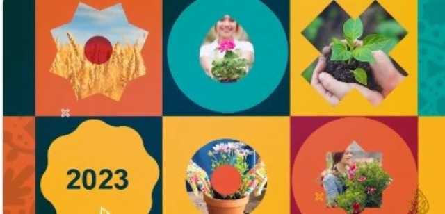 1600 شجرة ونبتة عُمانية أصيلة في 'إكسبو الدوحة للبستنة'