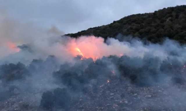 بالفيديو.. الجيش الإسرائيلي يستهدف جنوب لبنان بالقنابل الفوسفورية والمدفعية