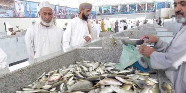 مواصلة جهود تطوير منظومة الأسواق السمكية بالمحافظات