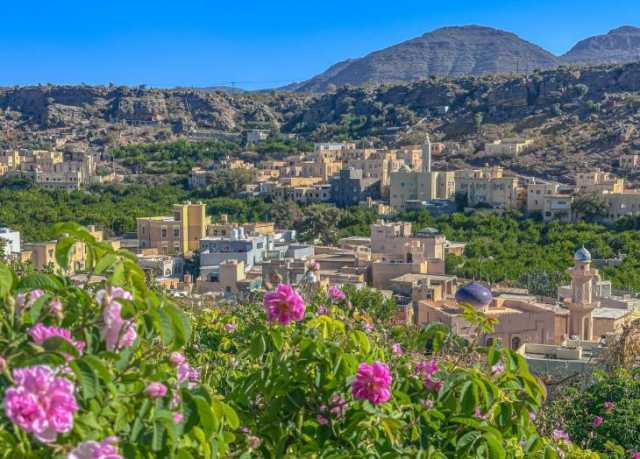 89780 زائرا للجبل الأخضر بنهاية يونيو.. والفعاليات المتنوعة تجذب مزيدا من السياح