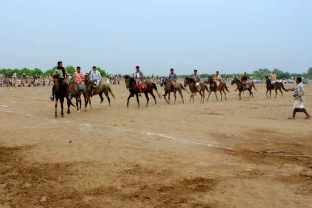 مهرجان شعبي احتفاءً بانتهاء موسم التمور في التحيتا بالحديدة 