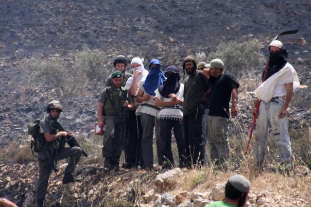 قطعان المستوطنين الصهاينة يهاجمون مركبات الفلسطينيين قرب جنين