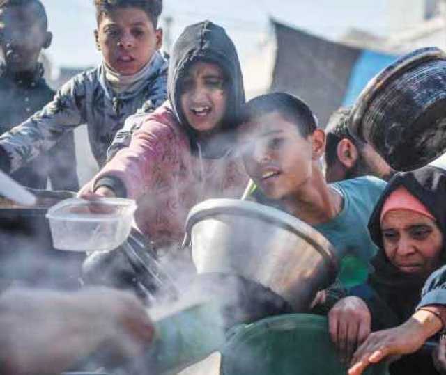 2.08 مليون نسمة في قطاع غزة يعيشون مستويات عالية من انعدام الأمن الغذائي الحاد وبنسبة 90%