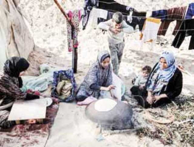 الأمم المتحدة : تهجير الفلسطينيين من غزة إلى مصر أكبر كارثة إنسانية تهدد المنطقة