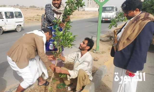 أمين محلي صعدة يدشن أعمال التشجير بالمحافظة