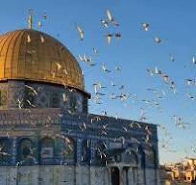 مطالبة فلسطينية بوضع حد للإنتهاكات الصهيونية في المسجد الأقصى