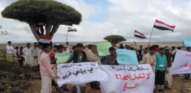 هيمنة الشركات الاماراتية على قطاعات الكهرباء والطاقة تسببت بموجة غلاء فاحش ومأساة إنسانية صعبة