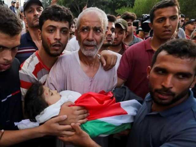 41شهيدًا و61 جريحًا وصلوا مشافي غزة خلال 24 ساعة