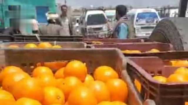 الجمارك تقدّم كمية من الفواكه الطازجة للواء الثالث في تعز