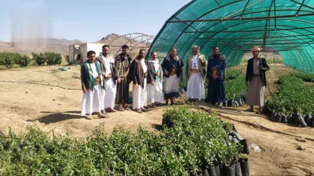 تدشين توزيع وزراعة شتلات السدر في القطاع الشرقي لمحافظة صنعاء