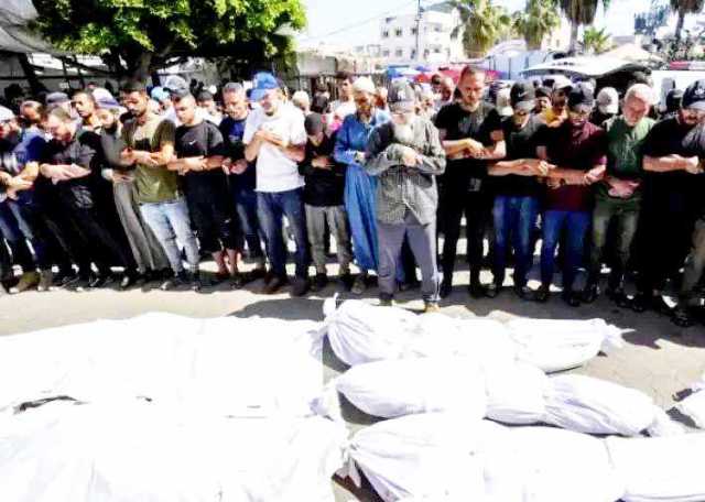 ارتفاع حصيلة الشهداء الفلسطينيين في غزة إلى 50.399 شهيداً