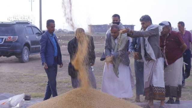 الرباعي يدشن موسم حصاد بذور القمح الشتوي في ذمار