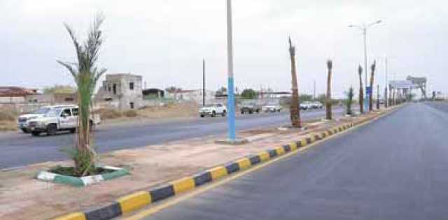 تشجير شوارع الحديدة بـ 10 آلاف نخلة وإنارتها بالطاقة الشمسية