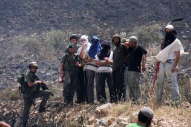 مستوطنون يعتدون على فلسطينية بمسافر يطا في الخليل