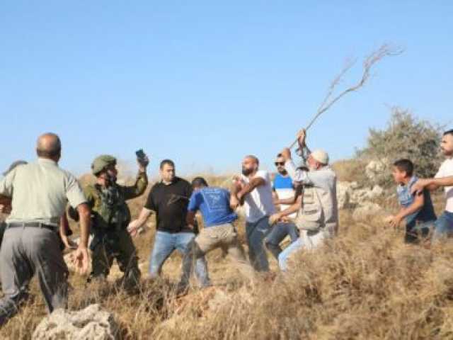 المملكة المتحدة تدين هجمات المستوطنين على بروقين غرب سلفيت