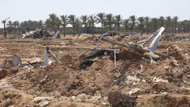 الفاو: 95 % من الأراضي في قطاع غزة لم تعد صالحة للزراعة