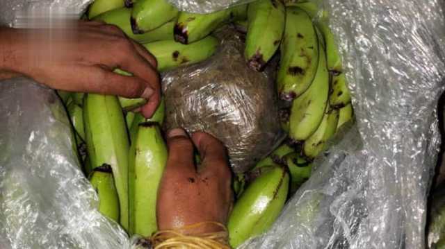 إحباط محاولة تهريب كمية من الزبيب الخارجي في مركز عفار الجمركي