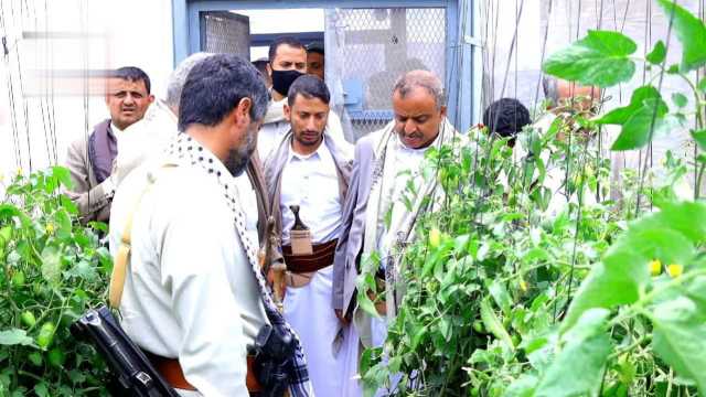 وزير الزراعة ومحافظ ذمار يطلعان على أنشطة الزراعة المائية وإنتاج الأسمدة العضوية في ذمار