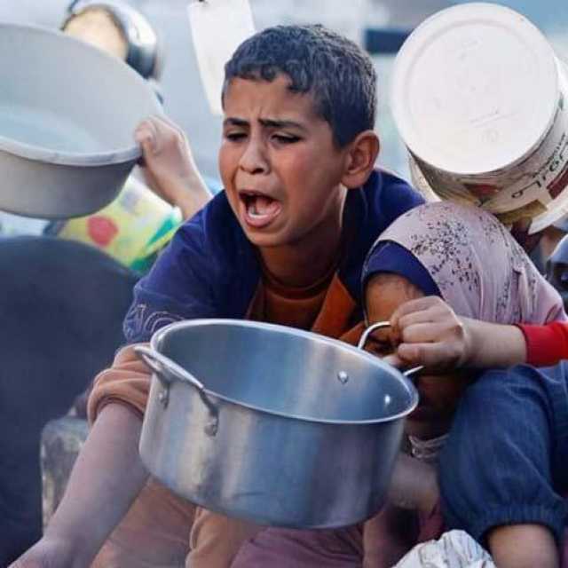 الأغذية العالمي محذرًا: غزة لا تزال على شفا المجاعة