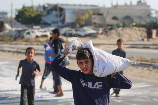 أطفال غزة.. عمل شاق تحت وطأة التجويع والإبادة