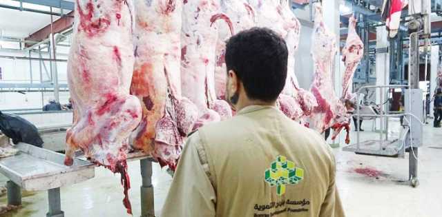 بنيان توزع 41 الفا من لحوم الاضاحي